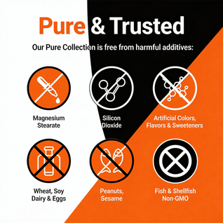 Premium Turmeric Curcumin 95% | Natural Pain Relief Alternative